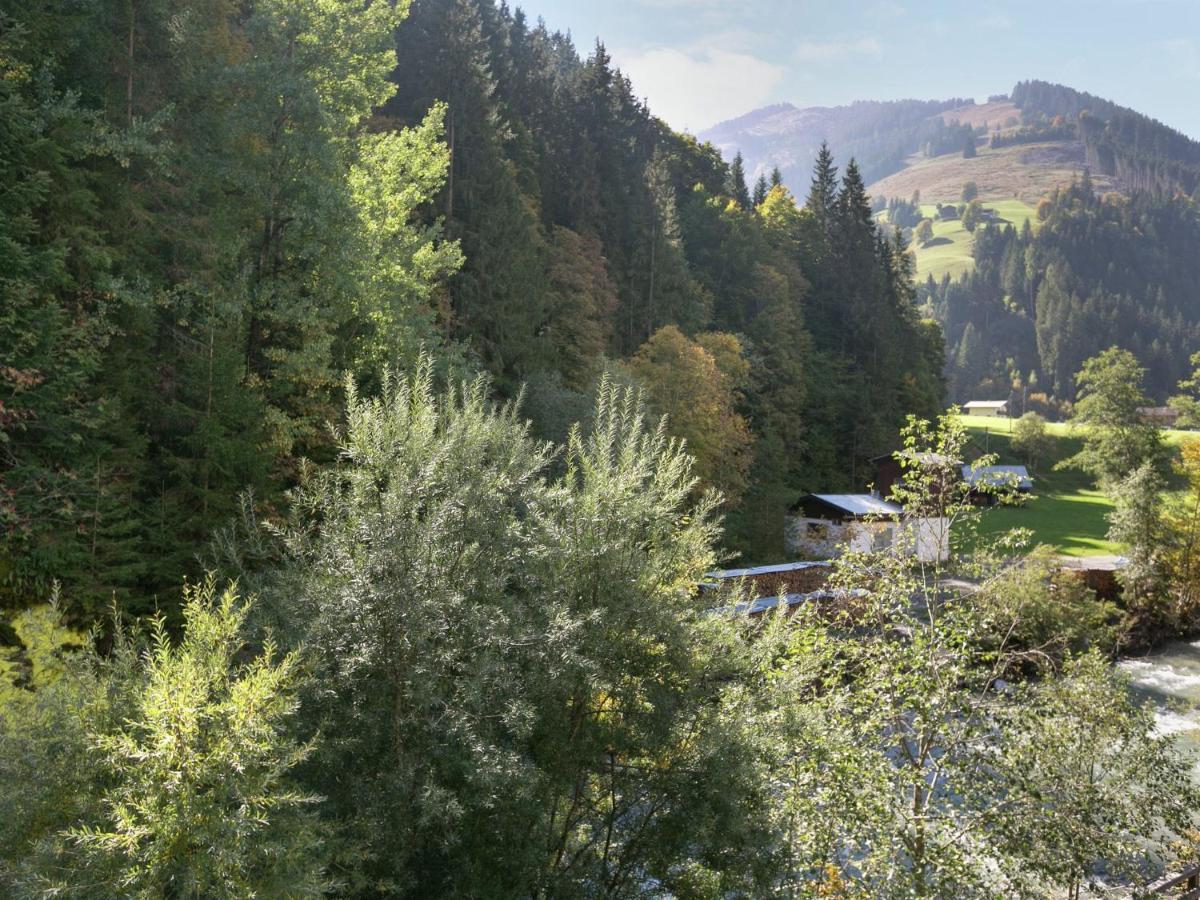 Apartment In Salzburgerland Near The Ski Area Viehhofen Exterior foto
